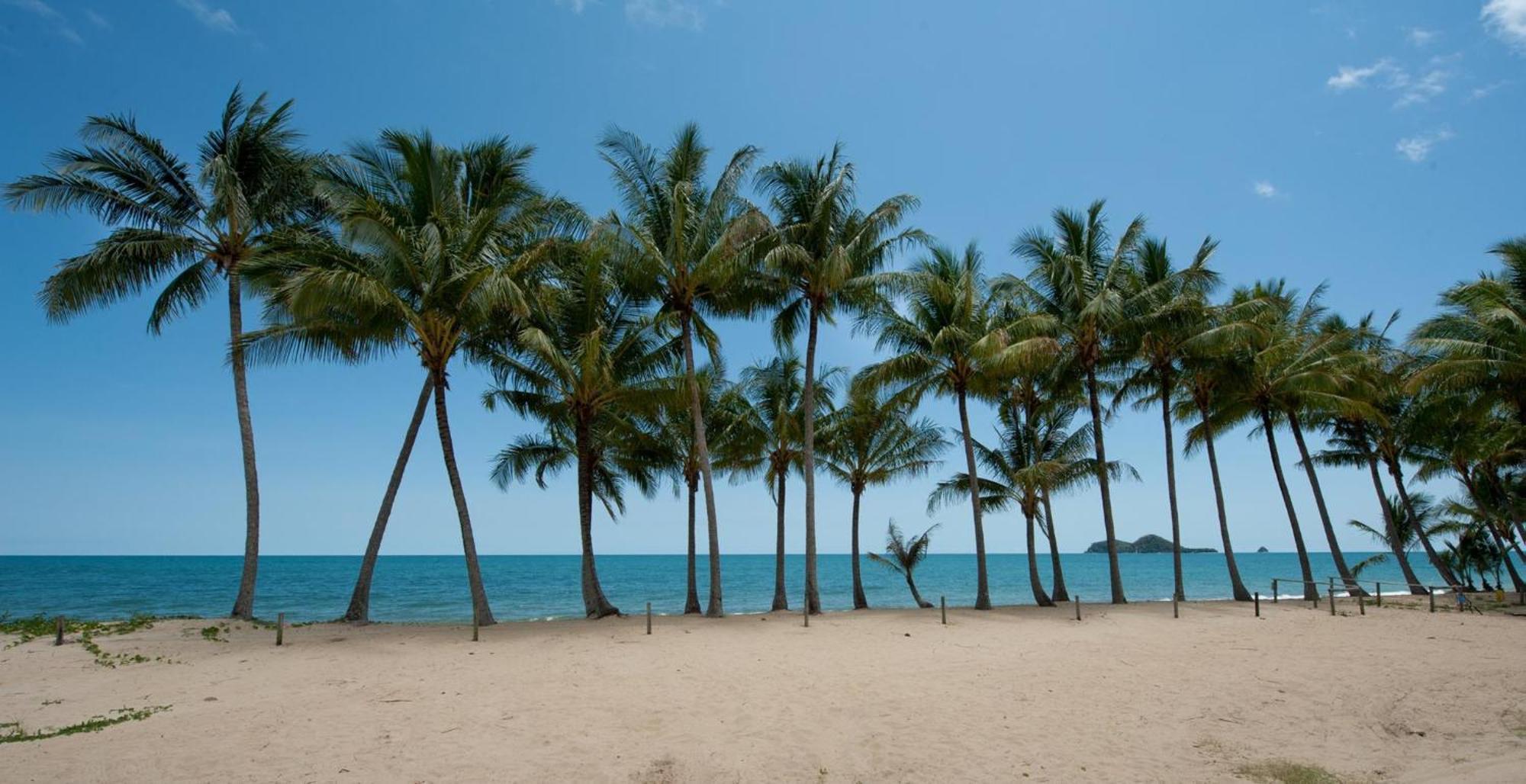 Ellis Beach Oceanfront Holiday Park Palm Cove Exterior foto